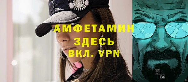 крисы Няндома