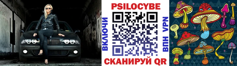 Псилоцибиновые грибы ЛСД  закладки  Алексеевка 