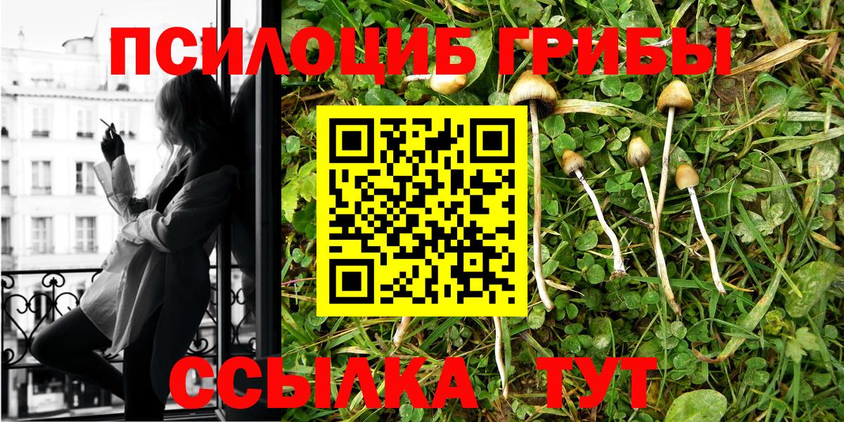 Псилоцибиновые грибы мухоморы  Алексеевка 
