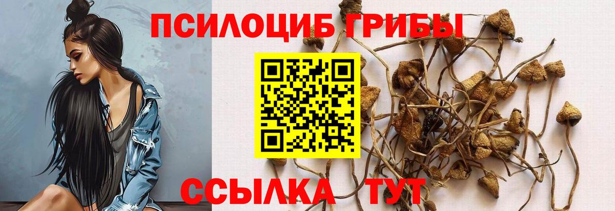 Метадон  Алексеевка  МАРИХУАНА  Вход с VPN  Ляпка  Мефедрон  CBD масло  Cocaine  XTC 