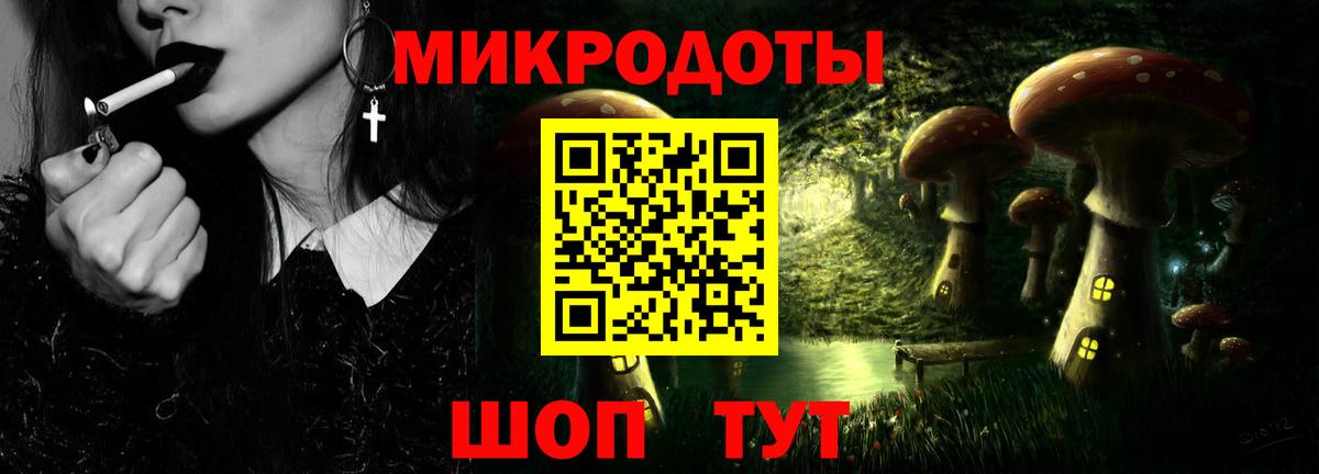 Псилоцибиновые грибы Psilocybe Алексеевка